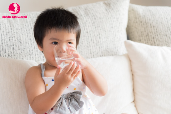 Kebutuhan Air Minum untuk Bayi dan Balita: Panduan Lengkap untuk Bunda